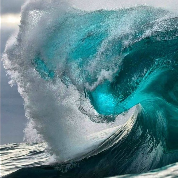 Meet your Posher, Noris - Picture 4 of 4